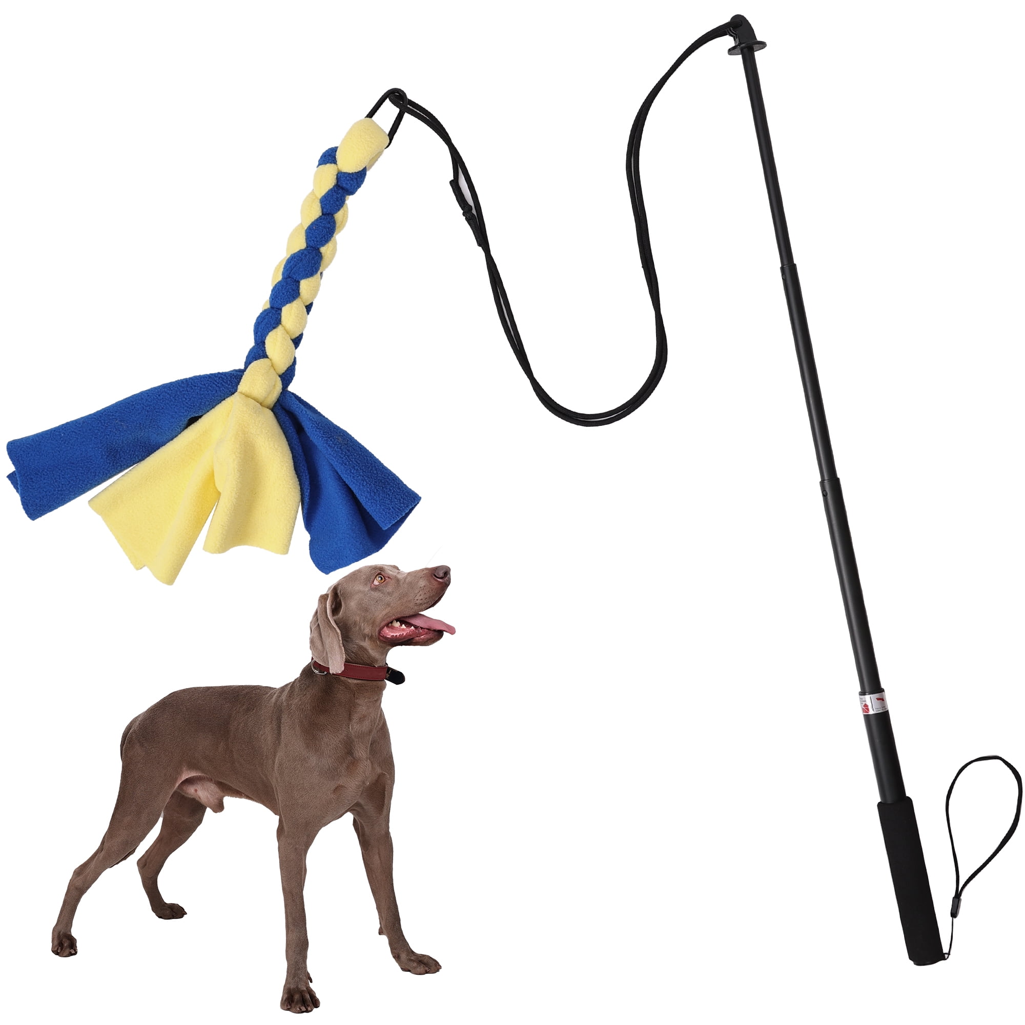 Exercise Flirt Pole Amazon Interactive Flirt Pole Toy For Dogs