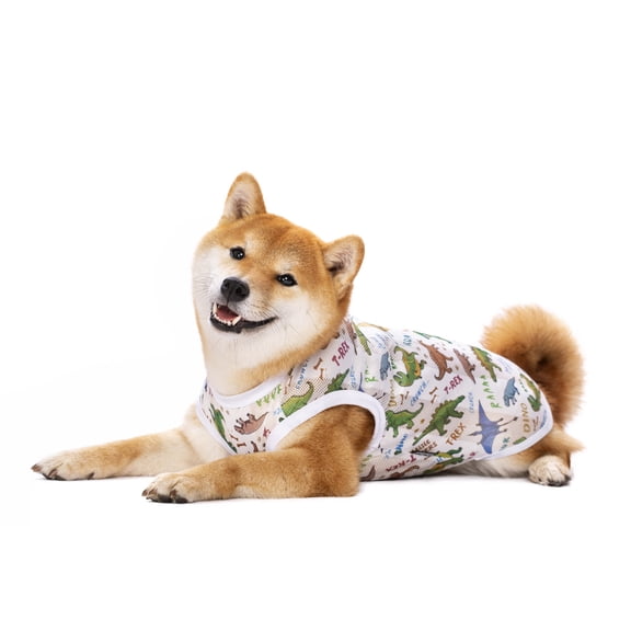 BT Bear Pet Clothes,Dog Summer T-Shirt Cool Breathable Sunscreen Dog Vest Clothes Outfit Costume for Medium Large Dogs