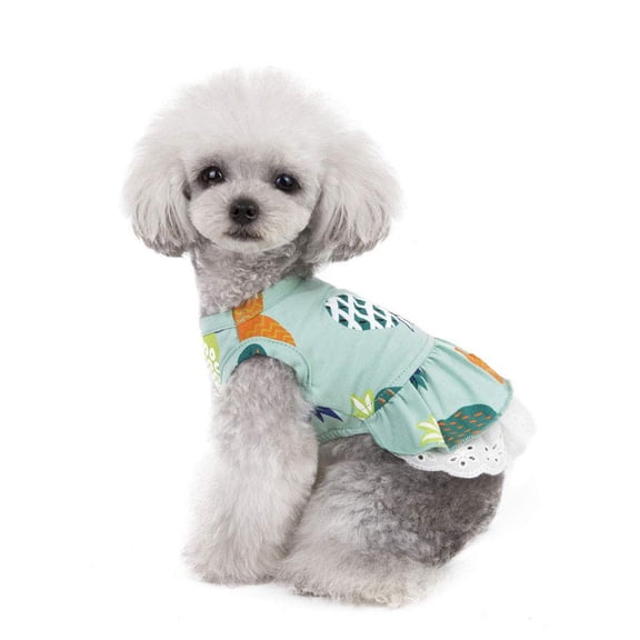 BT Bear Pet Clothes, Summer Dog Princess Dress Cool Fruit Tutu Skirt Wedding Party Costume for Puppy Small Dog (L, Green)