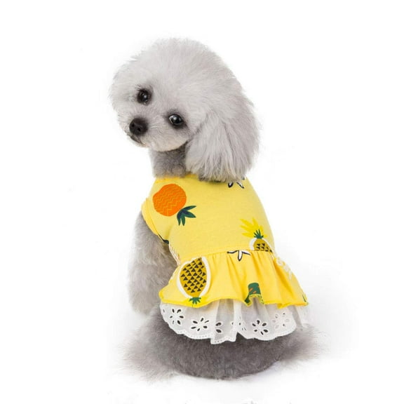 BT Bear Pet Clothes, Summer Dog Princess Dress Cool Fruit Tutu Skirt Wedding Party Costume for Puppy Small Dog (M, Yellow)