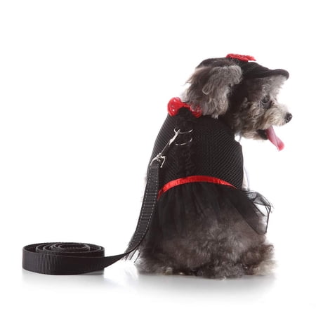 Pet Harness, Lovely Dog Adjustable Chest Strap Reflective Tape Outdoor Walking Vest Harness Leash Hat for Puppy Small Dog (M, Black)