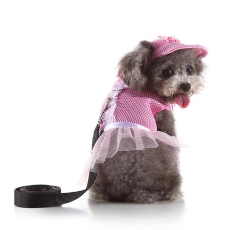 BT Bear Pet Harness, Lovely Dog Adjustable Chest Strap Reflective Tape Outdoor Walking Vest Harness Leash Hat for Puppy Small Dog (XS, Pink)