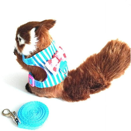 Pet Harness, Small Rabbit Harness Leash Bowknot Stripe Plaid Strap Harness for Walking Small Animal (M, Blue Stripe)