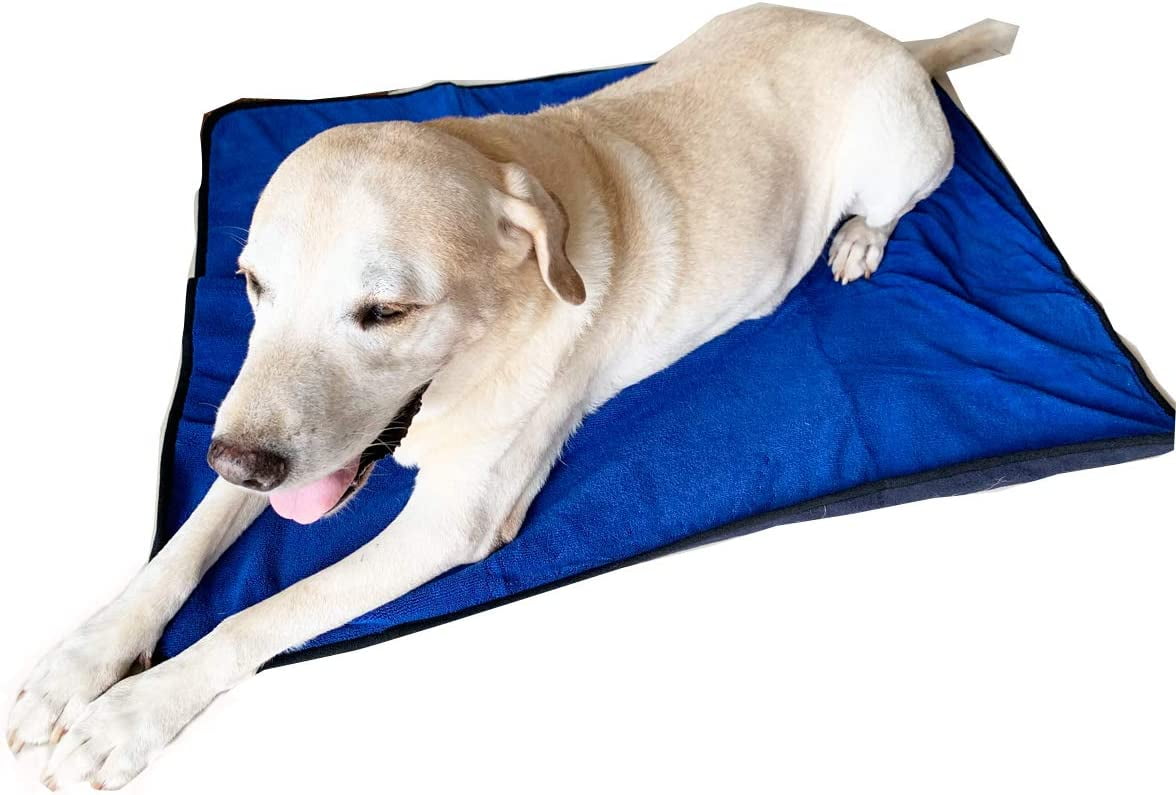 BT Bear Pet Mat, Dog Absorbent Blanket Microfiber Reusable Pet Pee Pad