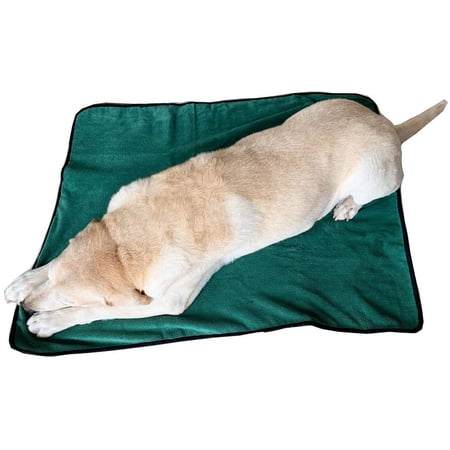 Pet Mat, Dog Absorbent Blanket Microfiber Reusable Pet Pee Pad Washable for Dogs & Cats (L, Green)