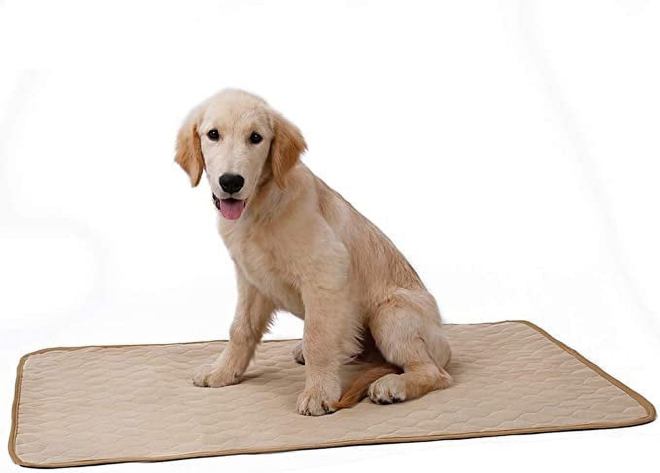 Pet Pee Pad, Dog Washable Training Blanket Absorbent Mat for Puppy Small Medium Large Dog (L, Beige)
