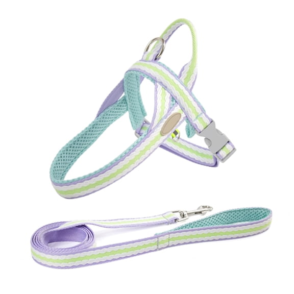 Small Dog Harness Leash Set, Colorful Step-in Reflective Dog Harness Vest, Breathable Mesh Padded Pet Harness for Small Medium Dogs Puprle XL