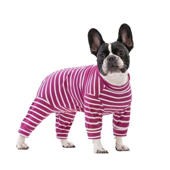 BT Bear Small Dog Jumpsuit, After Surgery Dog Onesie, Small Dog Recovery Suit, Anti-Shedding Dog Pajamas, Stripe Dog Sweater Coat for Puppy Small Dog Hot Pink M