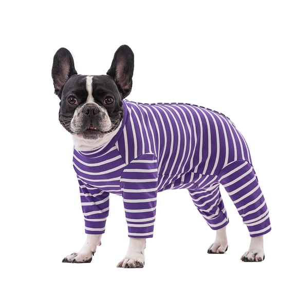 BT Bear Small Dog Jumpsuit, After Surgery Dog Onesie, Small Dog Recovery Suit, Anti-Shedding Dog Pajamas, Stripe Dog Sweater Coat for Puppy Small Dog Purple M