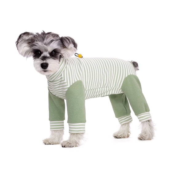 BT Bear Small Dog Jumpsuit, Small Dog Recovery Suit, Stripe Anti-Shedding Dog Pajamas Pjs, After Surgery Dog Onesie Shirt, Dog Sweater Coat for Puppy Small Dog Green S