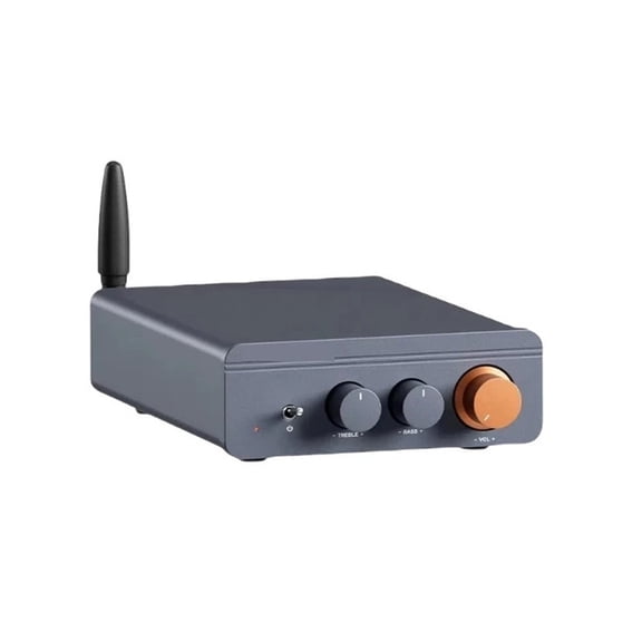 BT20A Mini Power Amplifier Digital Bluetooth 5.0 Max Power 600W 2.0 Channel