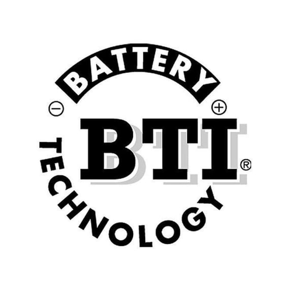 BTI Projector Lamp