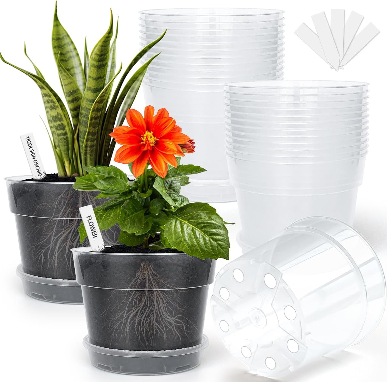 BTPLASTIK Clear Plastic Nursery Pots for Plants, 6 Inch Transparent ...
