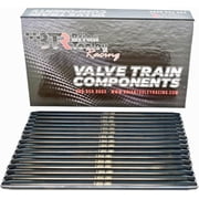 BTR Brian Tooley Racing 7.825" Chromoly Pushrods | Fits 5.3L 6.2L LS7 LT1 LT4 L83 L8B L86 L84 L87 L8T Gen V Engines | 3/8" Diameter, .080" Wall | High-Strength One-Piece Design