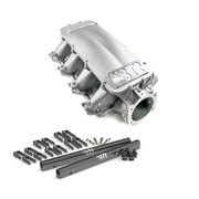 BTR Brian Tooley Racing Equalizer 1 Cathedral Port Intake Manifold IMA-01 | Fits LS1 LS2 LS6 4.8L 5.3L 5.7L 6.0L | Low Profile High RPM Performance Intake Intake + Fuel Rails