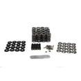 thumbnail image 1 of BTR SK007/0560/BB Gen V LT1 Platinum Dual Spring Kit, .660 Lift, 1 of 2