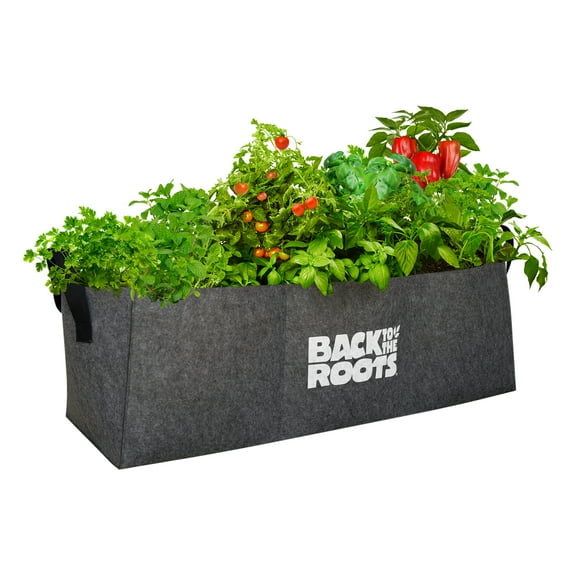BTTR RAISED BED