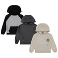 thumbnail image 1 of STITCH & STONE Boys 3-Pack Hoodies - Soft Cotton, Pullover Sweatshirts - Hgrey, Sizes 10/12, 1 of 5