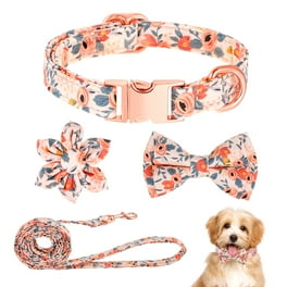 YUDOTE Flower Dog Collar and Leash Set Medium Strong Nylon Coller and Lead Matching Kit for Lively Female Dogs Daily Use Floral Pink Walmart