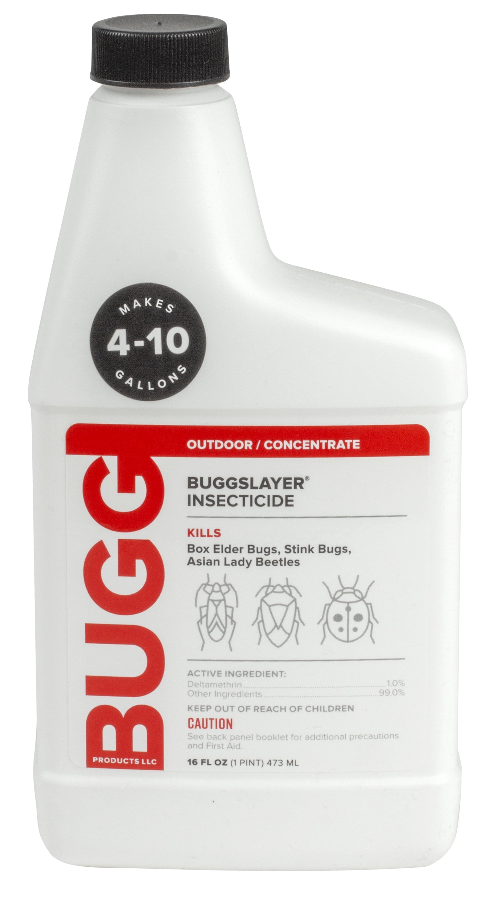 BUGGSLAYER Insecticide - Concentrate - Outdoor Box Elder Bugs, Stink Bugs, Asian Lady Beetles - 16 oz Bottle