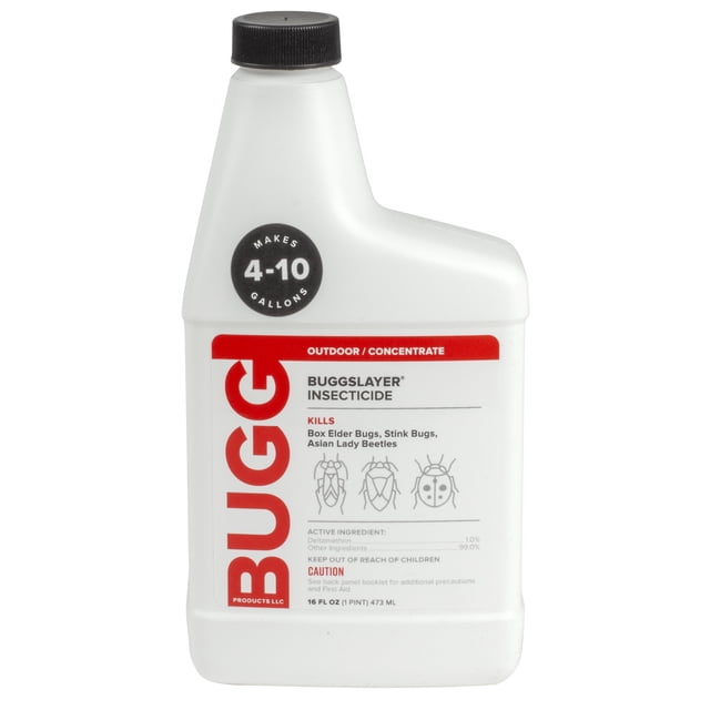 Combined Insects BUGGSLAYER 16-oz Outdoor Insect Killer, Yard Bug Kill Pest Control ...