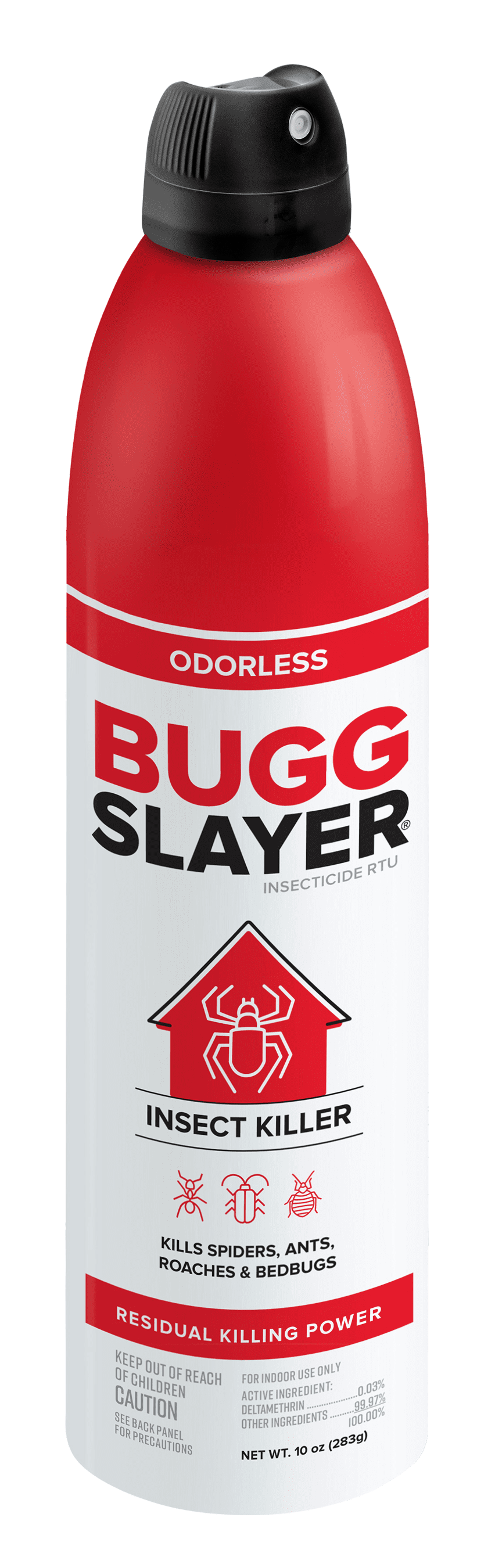 BUGGSLAYER Insecticide RTU Aerosol - Indoor Insect Killer - Spiders ...