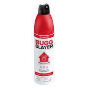 BUGGSLAYER Insecticide RTU Aerosol - Indoor Insect Killer - Spiders, Ants, Roaches, Bed Bugs & More - Odorless, Non-staining - 10 oz Spray Can