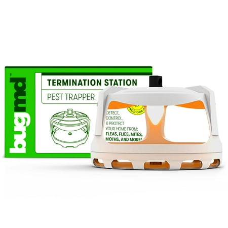 BUGMD Termination Station - Flea Trap, Roach Trap, Sticky Trap for Ants, Cockroaches, Ticks, Fleas