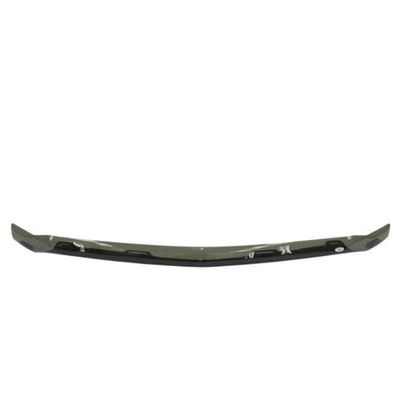 BUGSHIELD Fits select: 2019-2023 RAM 1500