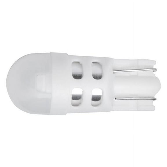 BULBS