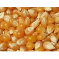 thumbnail image 1 of Grain Popcorn Yellow Organic 25 LB, 1 of 1