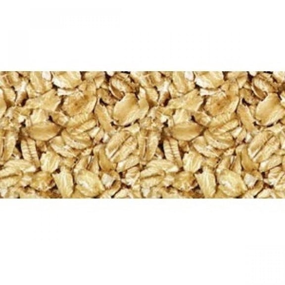 BULK Regular Rolled Oats, 1 LB
