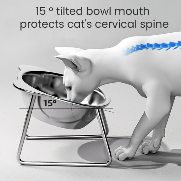 BULLPAW Elevated Cat Bowls 5 Inch Wide Stainless Steel Cat Food Bowl Raised 15-degree Tilted Food And Water Dish for Indoor Cats Small Dogs to Protect Spine