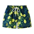 thumbnail image 1 of BULLPIANO 3-9T Toddler Boys Swim Trunks with Compression Liner Stretch Swim Shorts Quick Dry 2 in 1 Beach Shorts,Size 4-5 Years, 1 of 4