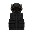 thumbnail image 1 of BULLPIANO Kids Baby Boys Girls Warm Thick Puffer Vest Cotton Jacket Toddlers Hooded Lined Waistcoat Jacket Coats Winter Outerwear 1-6 Year, 1 of 5