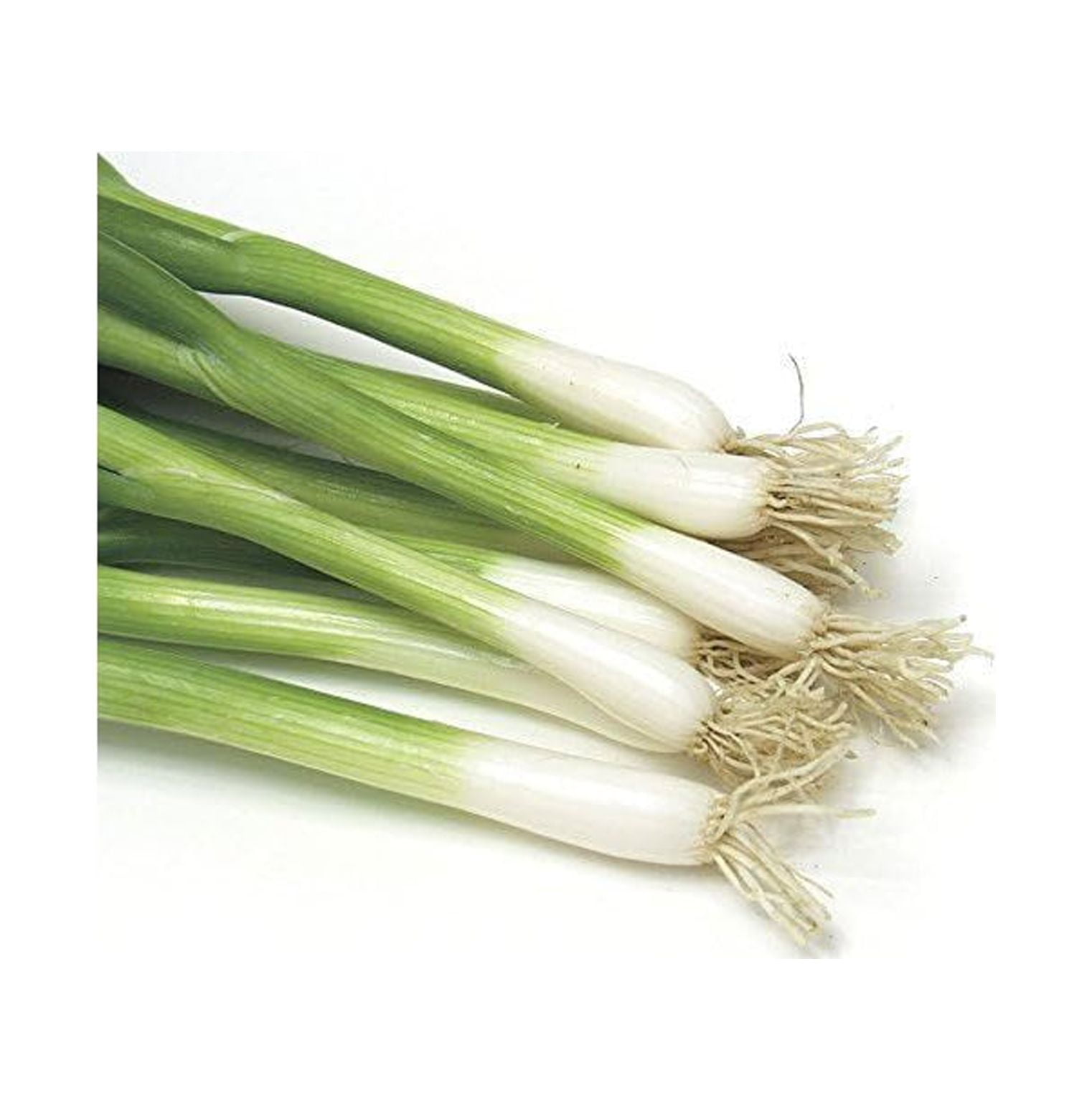 BULYAXIA Damast Bunching Green Onion Seed Tape, Easy to Plant, 15 Feet