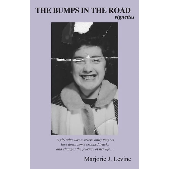 THE BUMPS IN THE ROAD vignettes, (Paperback)