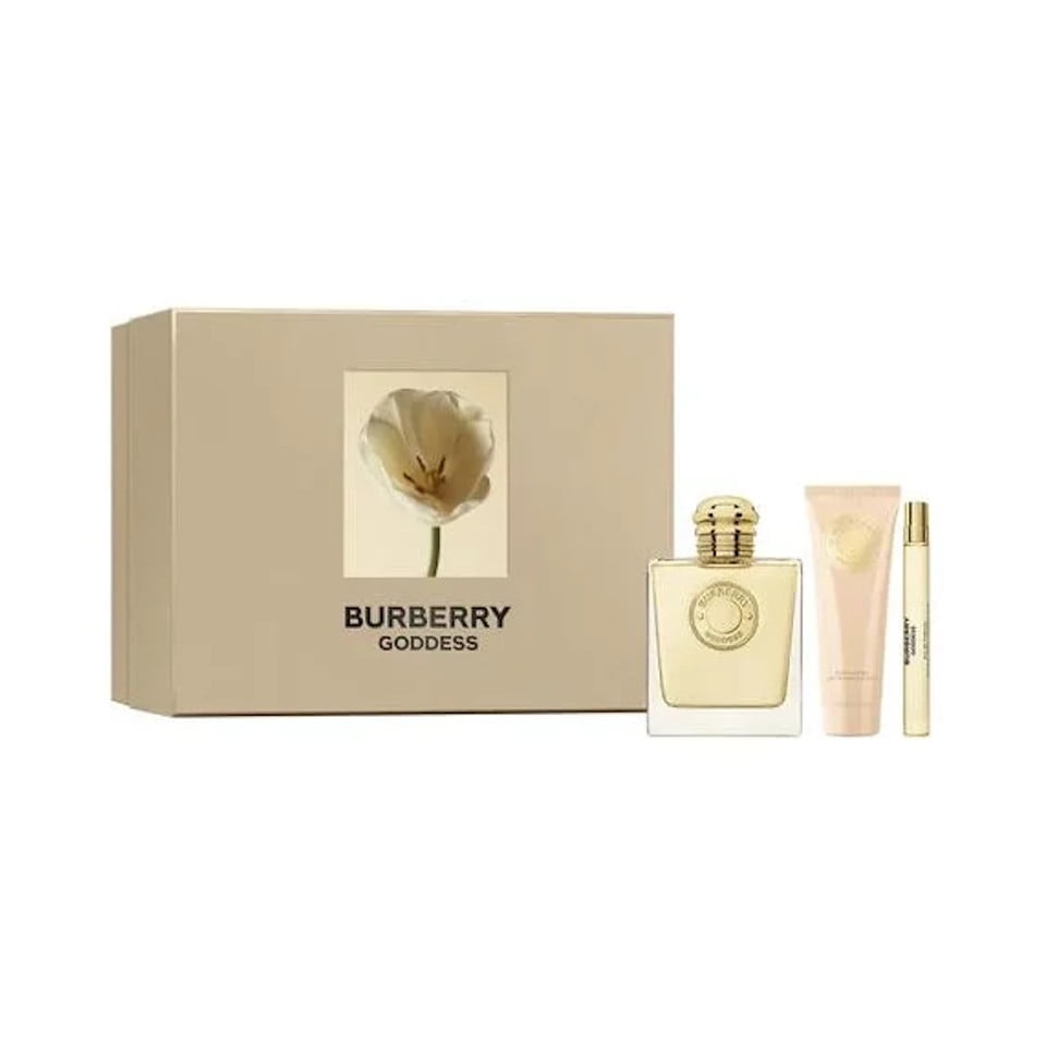 Burberry gift bag online