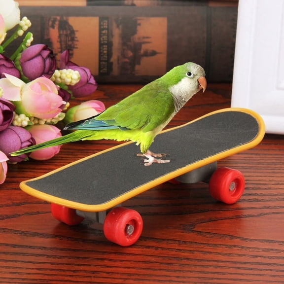 BURIBURI Bird Intellective Mini Basketball Rack Training Toy for Budgies Parakeet Parrot Cockatiels Conures Small and Medium Birds