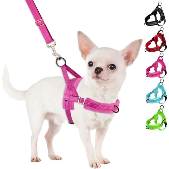 BURIBURI No Pull Small Dog Harness and Leash Set, Puppy Soft Vest Harness Neck & Chest Adjustable, Reflective Lightweight Harness & Anti-Twist Pet Lead Combo for Small Medium Dogs (BL-Front Cli