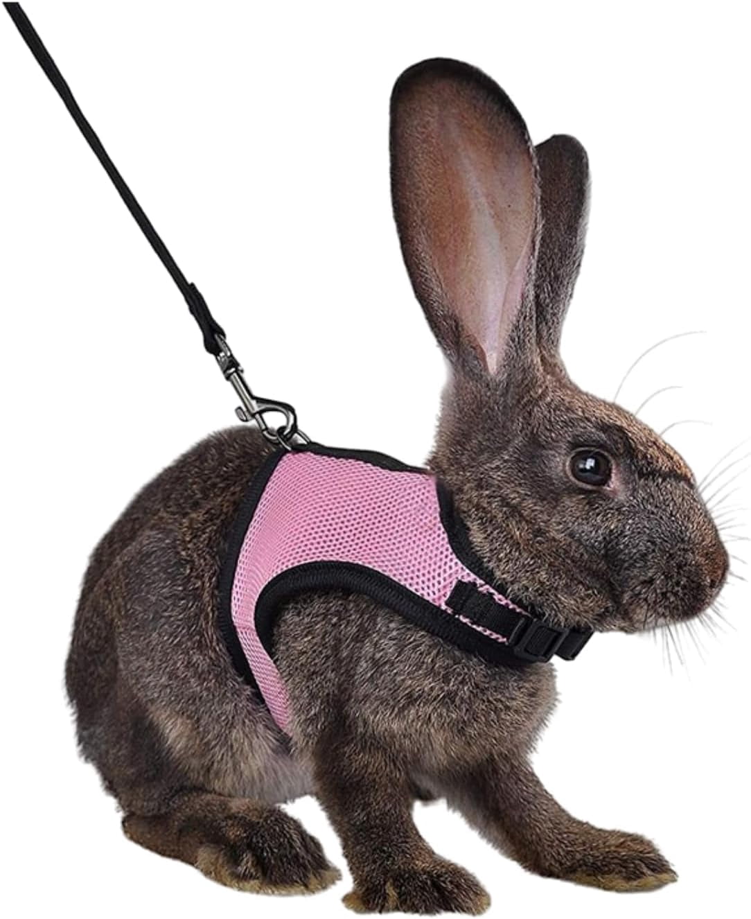 BURIBURI Rabbit Harness and Leash Set - Adjustable Escape-Proof ...