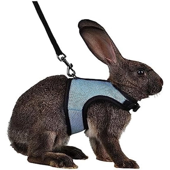 BURIBURI Rabbit Harness and Leash Set - Adjustable Escape-Proof ...