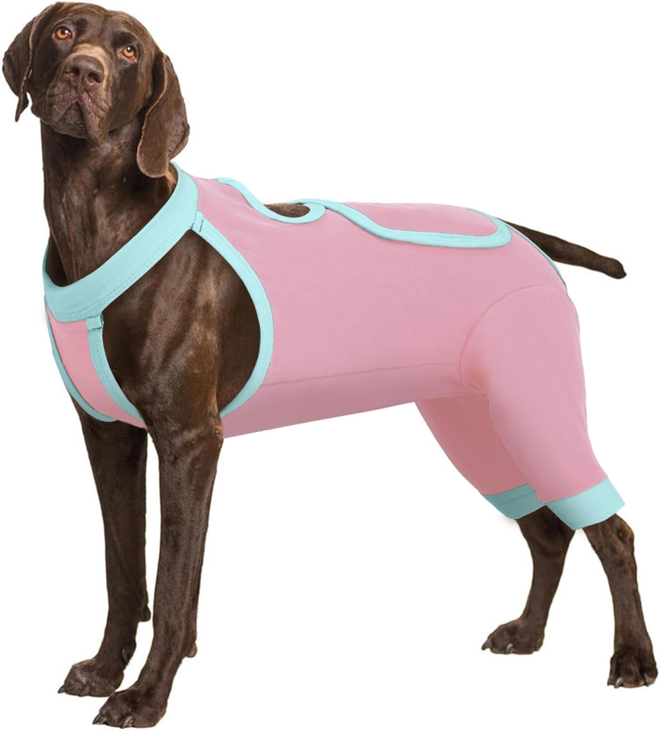 buriburi-recovery-suit-for-dogs-hind-legs-dog-surgery-suit-for-female