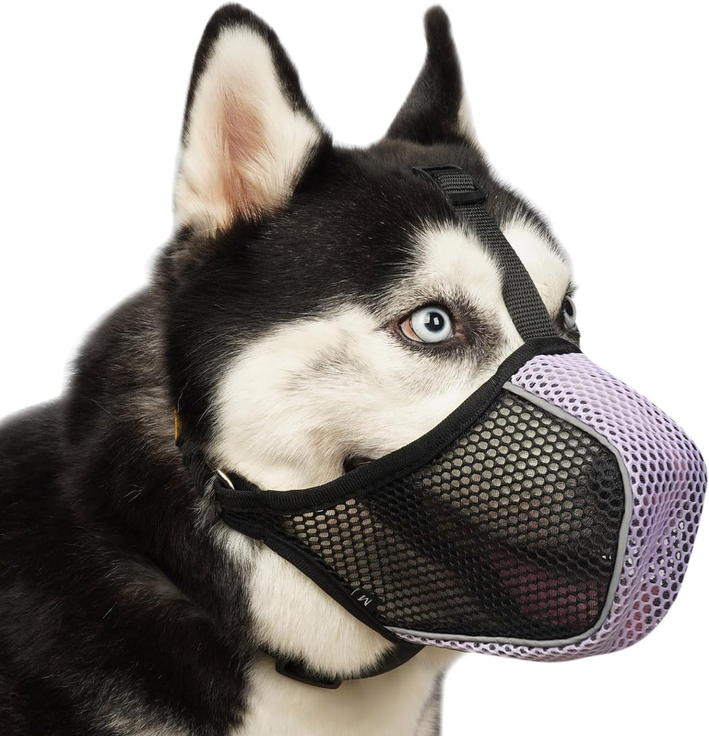 BURIBURIBURIBURI Dog Muzzle, Patented Mesh Soft Muzzles for Large ...