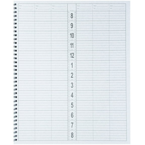 DL Pro Appointment Book, 6-Column #DL-C200