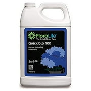BURTON & BURTON FLORAL-QUICK DIP GAL