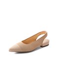 thumbnail image 1 of BURUDANI Women's Stylish Pointed-Toe Flats – Elegant & Comfortable, 1 of 6