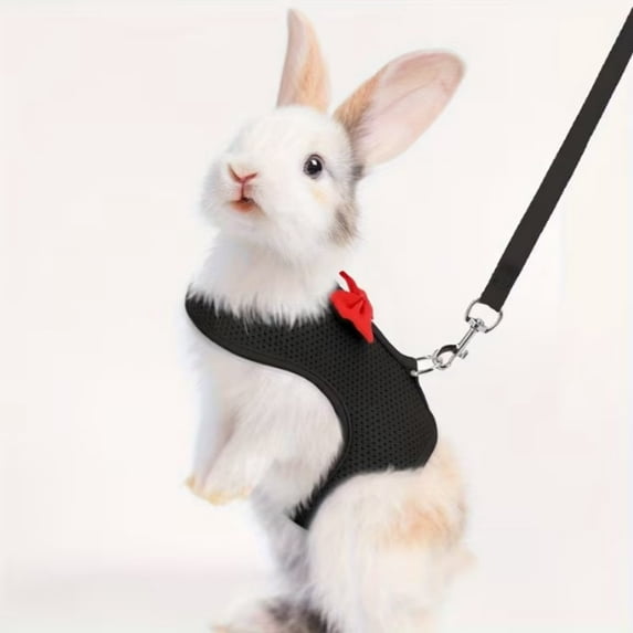BUTASY Bunny HarnessRabbits Leash and Strap Set Pet Traction Rope and Vests Strap Suitable for Rabbits