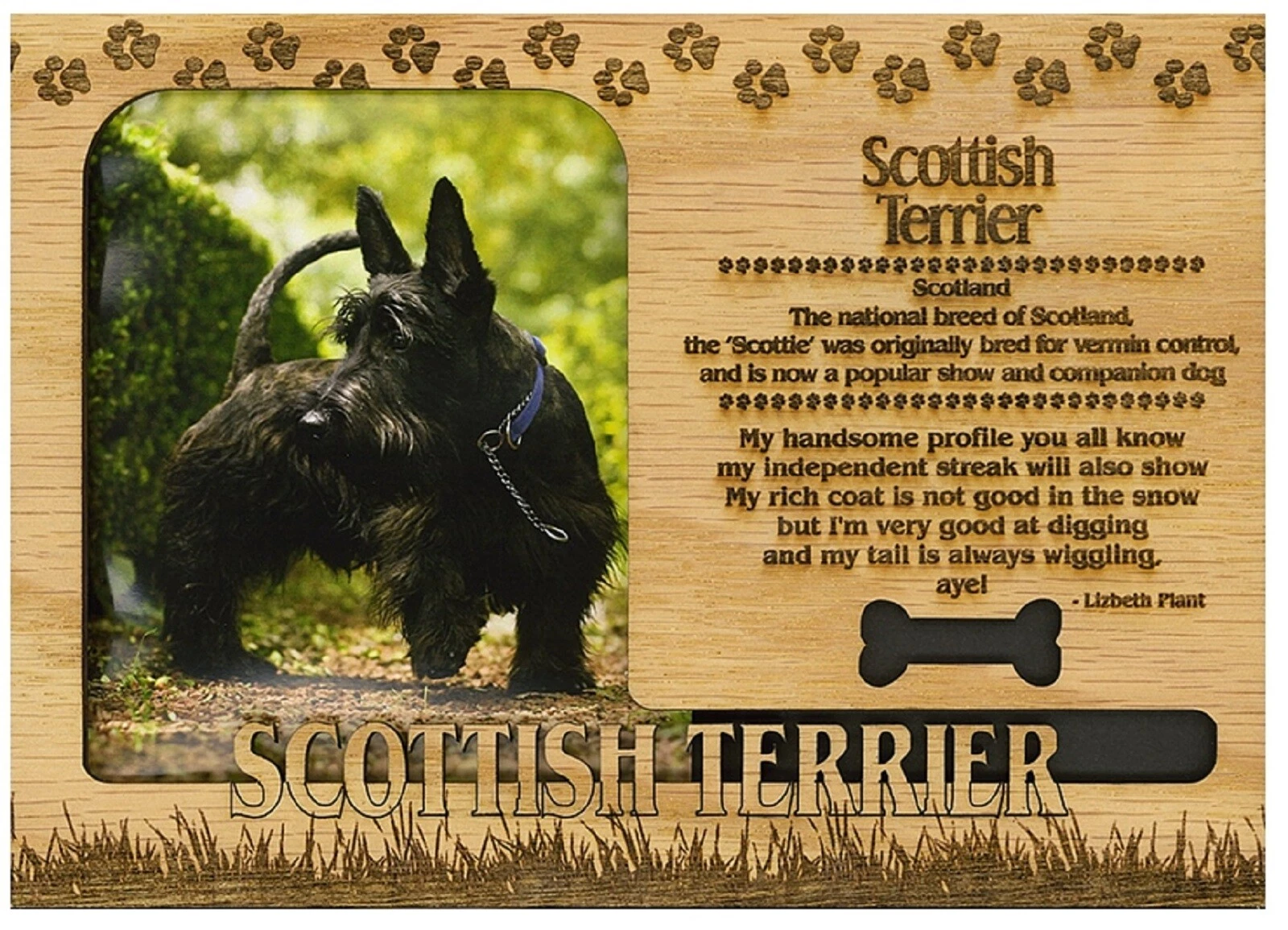 BUTTERFLY- Scottish Terrier Engraved Wood Picture Frame Magnet
