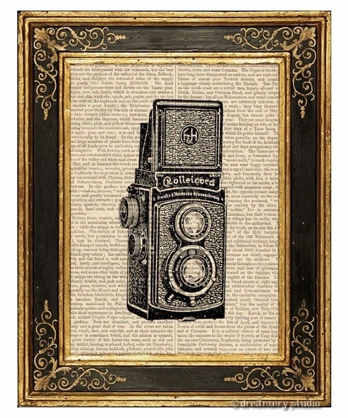 BUTTERFLY- Twin Lens Reflex Camera #1 Art Print On Vintage Book Page Home Office Decor Gift